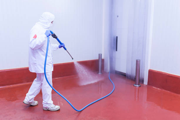 Best Warehouse Cleaning  in Combine, TX